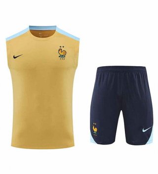 Debardeur France+Short jaune bleu 2024/2025