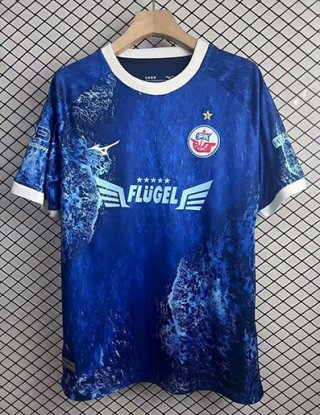 Maillot de foot Hansa Rostock édition spéciale 2025-2026 bleu