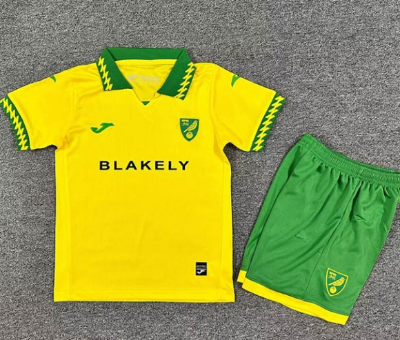 Maillot de football enfant Norwich City domicile 2025-2026 Jaune vert